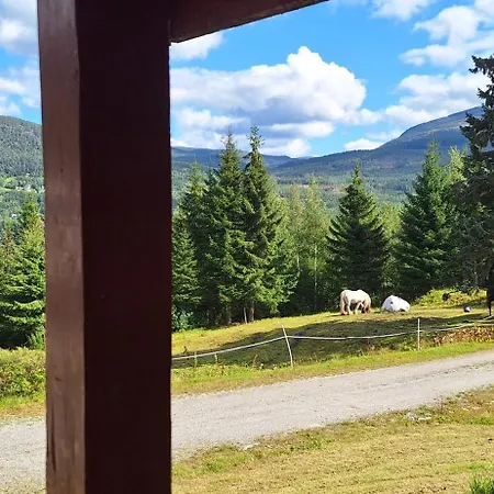 Telemark * Hauggrend
