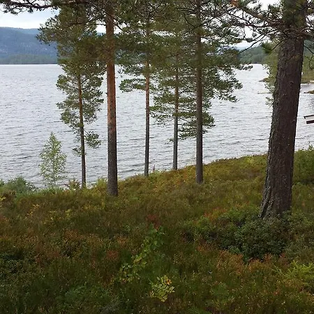 Telemark Hauggrend